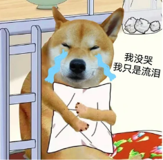 神回复哥哥我摔倒了扶我下嘛 配图4