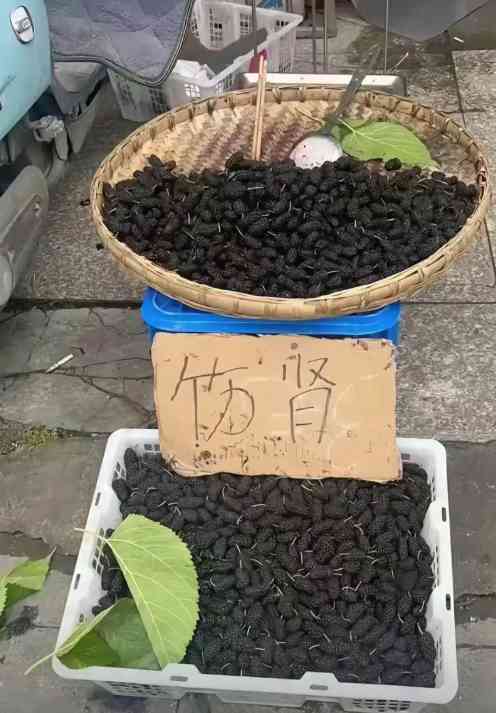 神回复哥还收徒吗我想学按摩 配图6