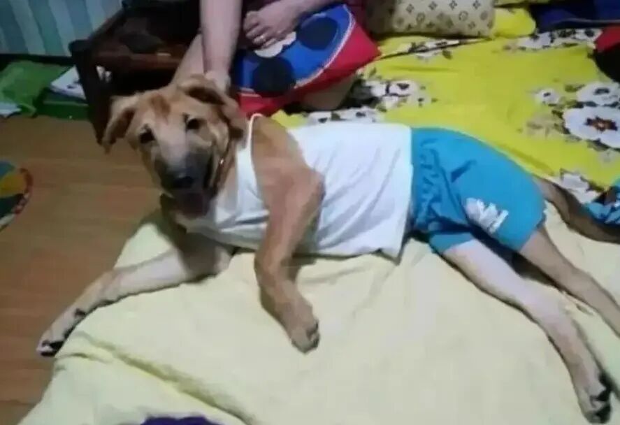 神回复工作人员请把我们的大堂经理放下 配图3