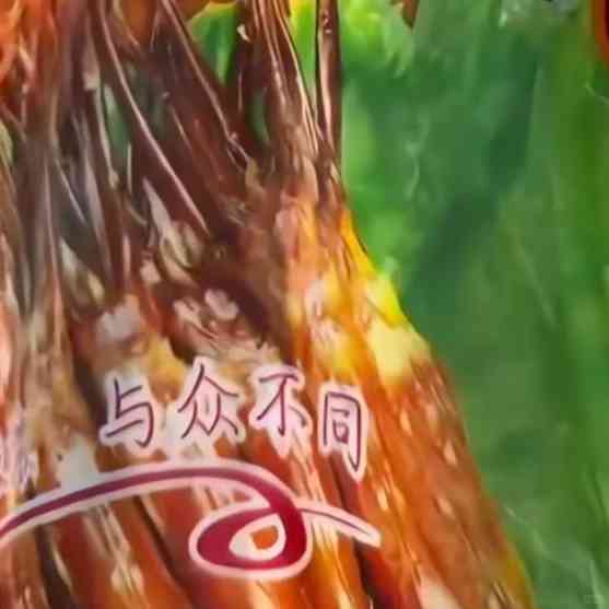 神回复挂是挂上去了但是这咋下来呢 配图2