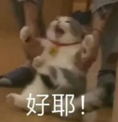神回复怪兽看你干的好事奥特曼不是夸人的时候