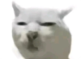 神回复黑猫看你那亖出没出息 配图3
