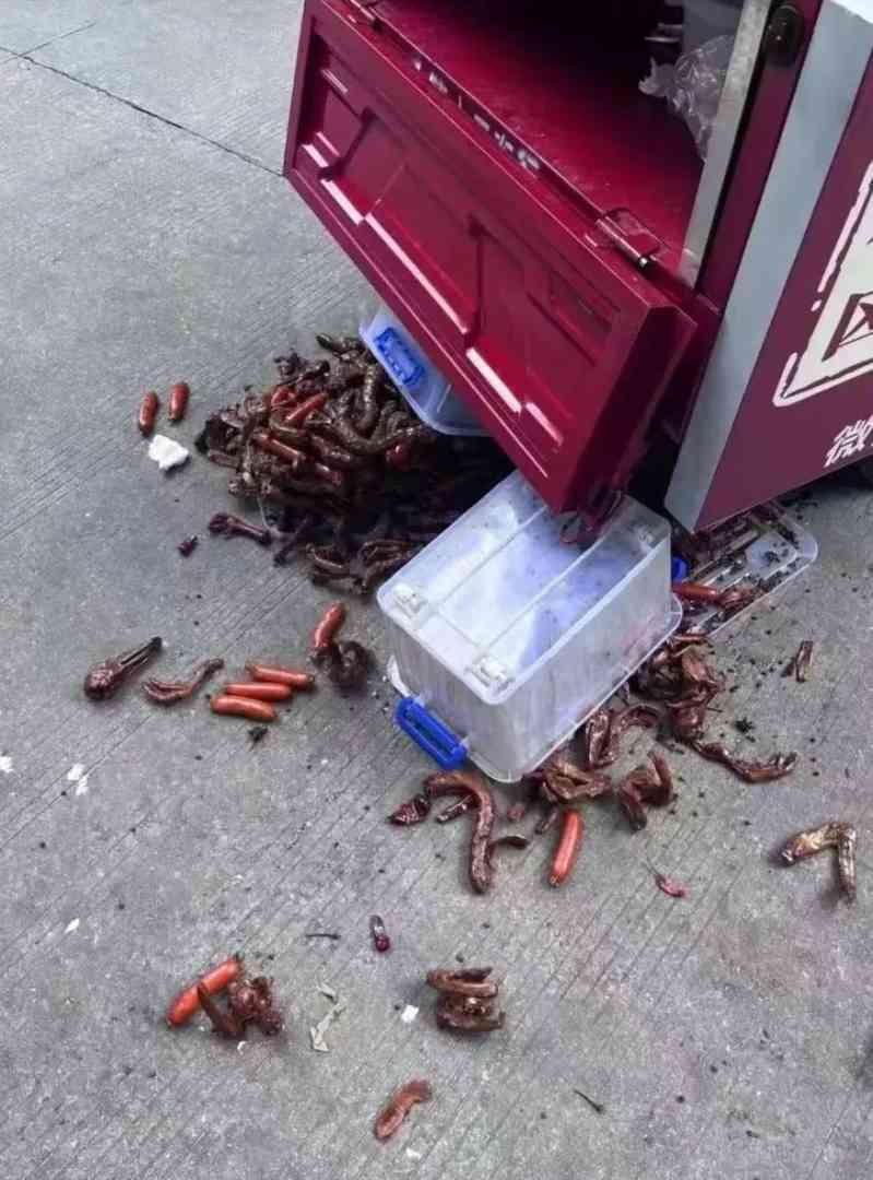 神回复这是懂车的先看底盘 配图6