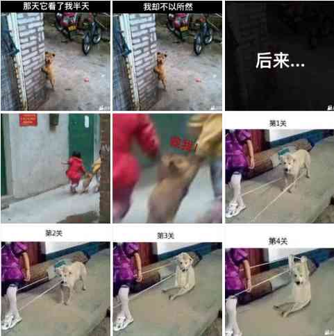 神回复这腿比我命都长 配图2