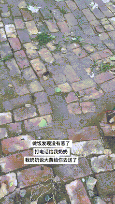神回复这舞跳的真不错
