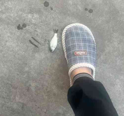 神回复做人要三丝黑丝白丝加灰丝 配图5