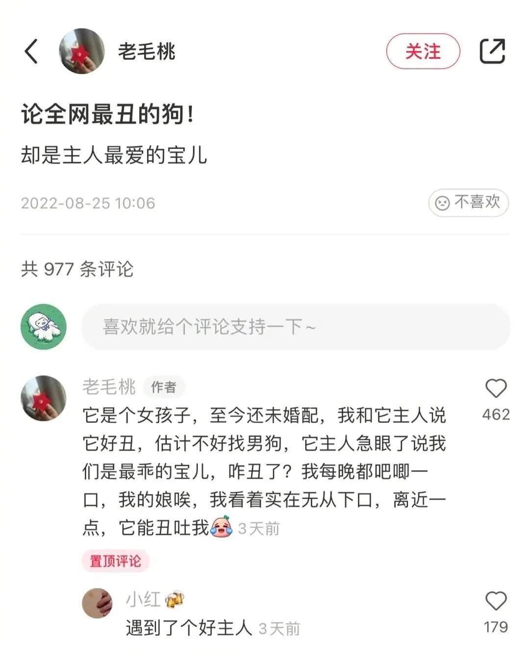坐公交车时胸贴不小心掉下来了结果网友哈哈哈哈尴尬到窒息 配图16