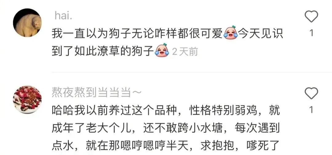 坐公交车时胸贴不小心掉下来了结果网友哈哈哈哈尴尬到窒息 配图19