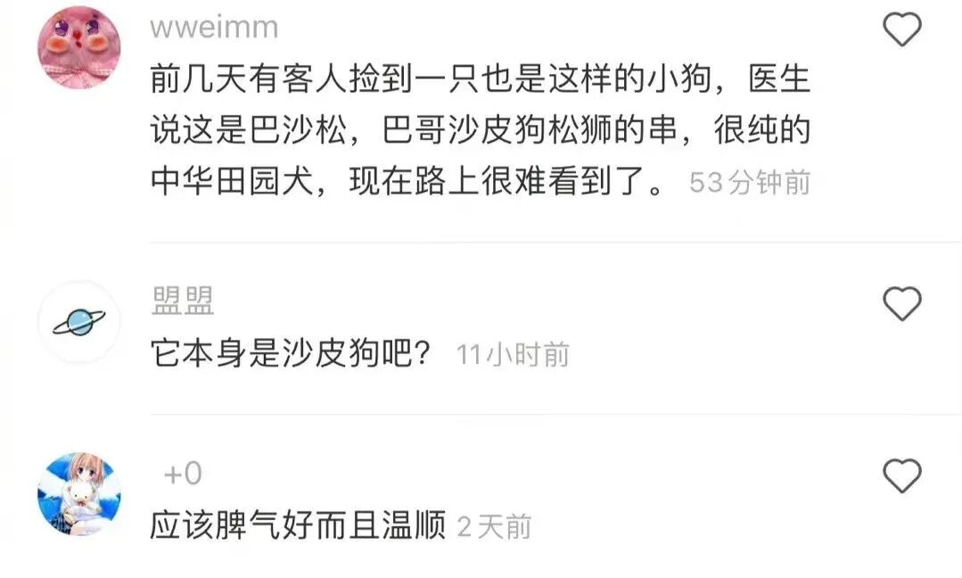坐公交车时胸贴不小心掉下来了结果网友哈哈哈哈尴尬到窒息 配图20