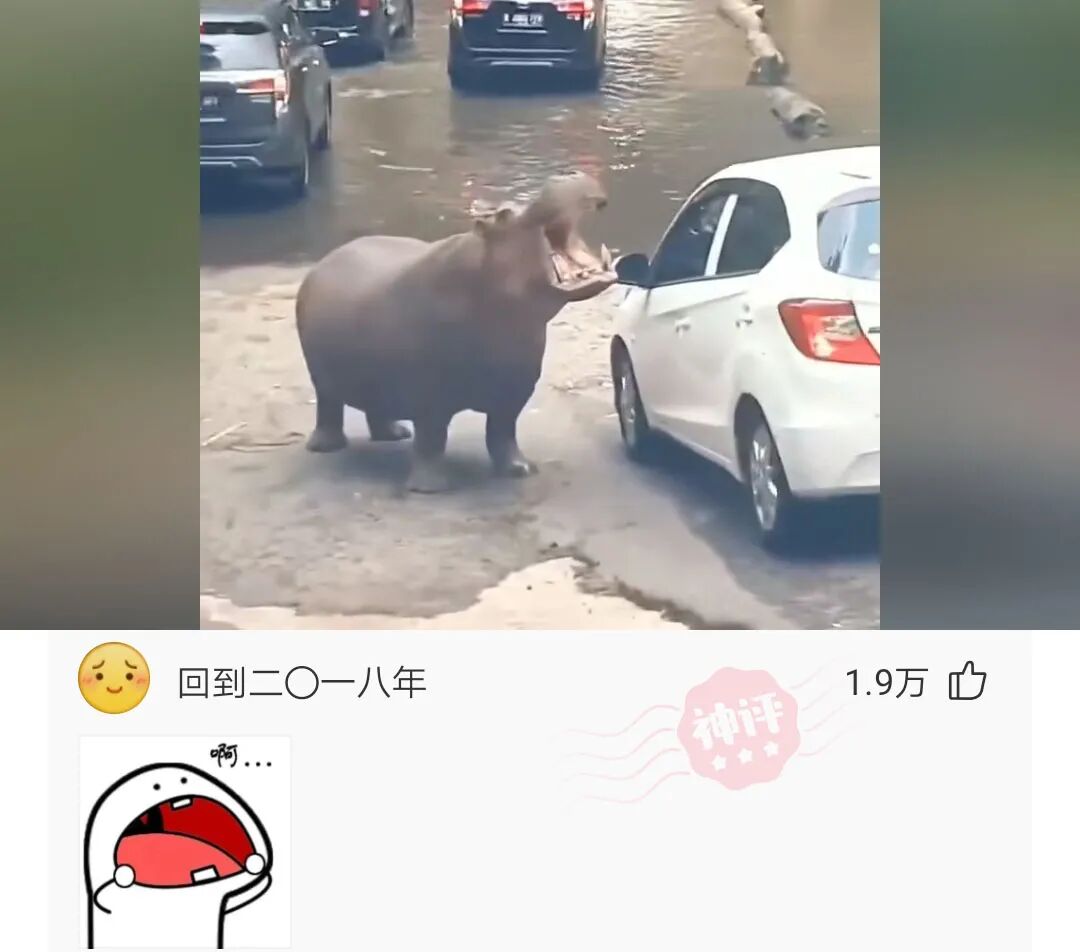 怎么把一壶开水倒进嘴里而不觉得烫呢 配图5