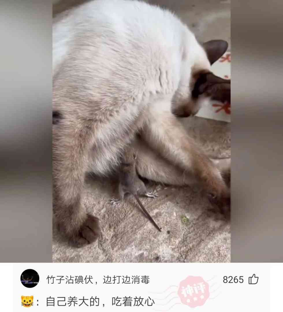 怎么把一壶开水倒进嘴里而不觉得烫呢 配图4