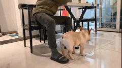 在网上买了条禁欲系阔腿裤试穿后网友哈哈哈哈这也太离谱了 配图17