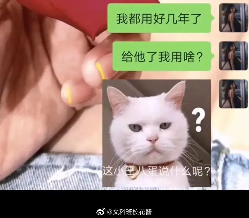 因为穿得太骚了结果被公司开除了这反转是我没想到的 配图8
