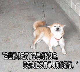 一句话证明你单身哈哈哈哈哈哈哈 配图6