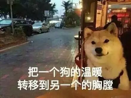 一句话证明你单身哈哈哈哈哈哈哈 配图4
