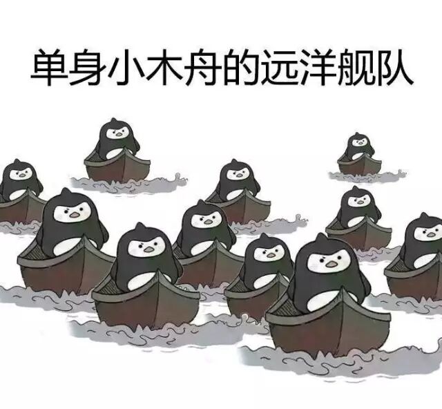 一句话证明你单身哈哈哈哈哈哈哈