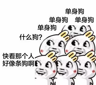 一句话证明你单身哈哈哈哈哈哈哈 配图5