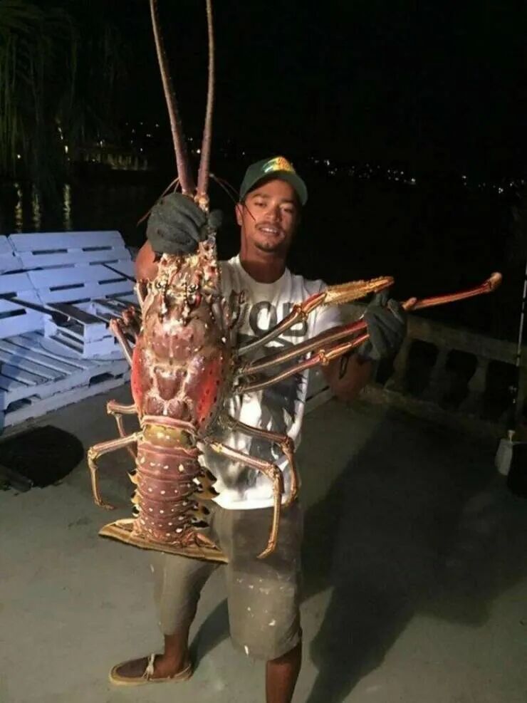 一家人都出现幻觉只因一次嫖娼这女人好阴险啊谁能想到他是这样的继父 配图36