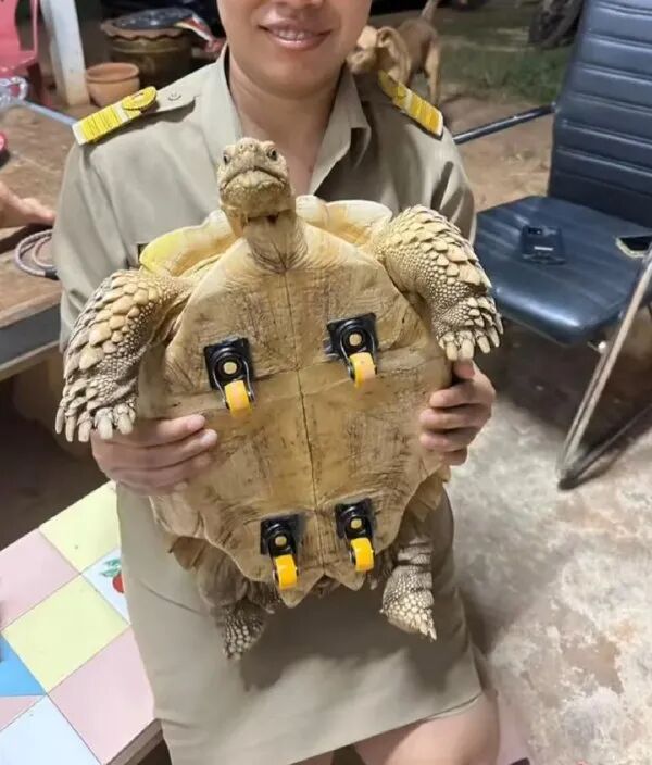 一家人都出现幻觉只因一次嫖娼这女人好阴险啊谁能想到他是这样的继父 配图45