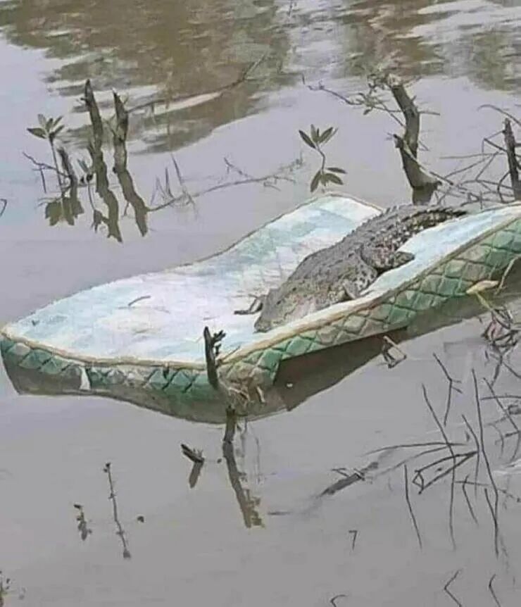 一家人都出现幻觉只因一次嫖娼这女人好阴险啊谁能想到他是这样的继父 配图29