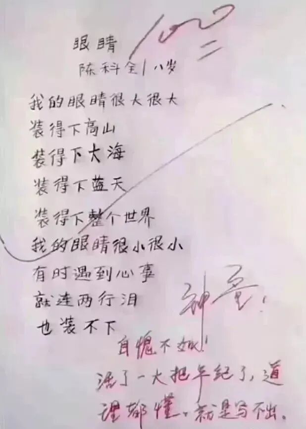 小学生作文孤独火了老师满分评论直呼天才看哭了 配图11