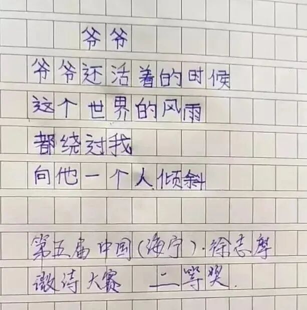 小学生作文孤独火了老师满分评论直呼天才看哭了 配图5