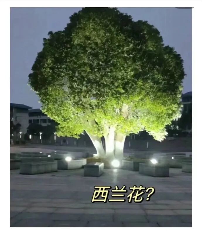 我这个人很专一从头到尾都是馋你身子 配图16