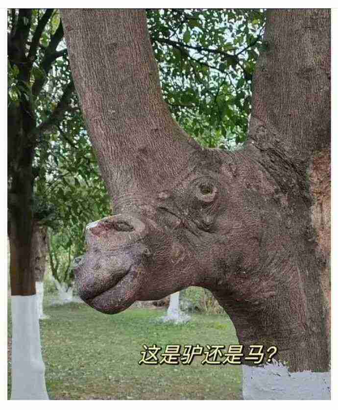我这个人很专一从头到尾都是馋你身子 配图17