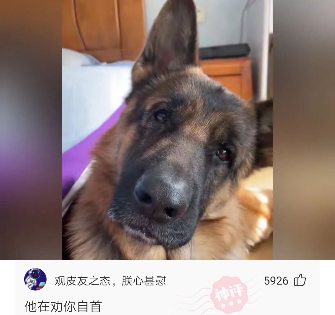 网络看三观现实看五官穷的懒得看 配图2
