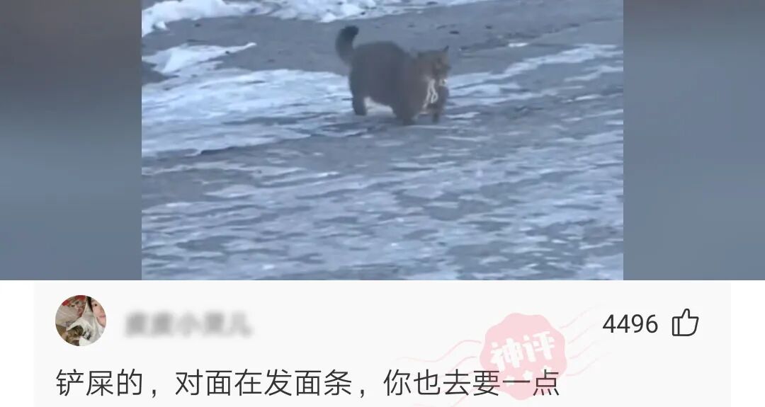 网络看三观现实看五官穷的懒得看 配图12