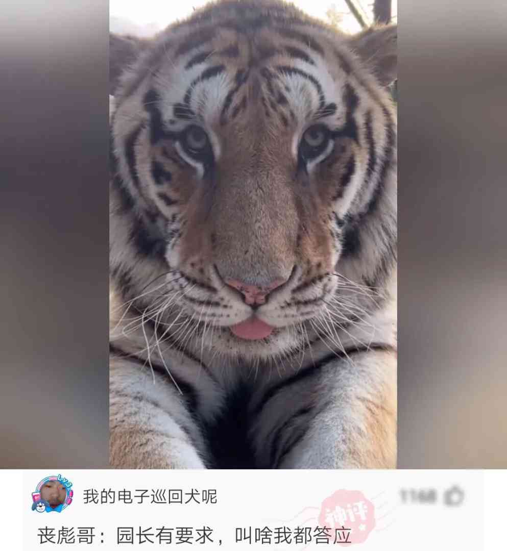 网络看三观现实看五官穷的懒得看 配图6