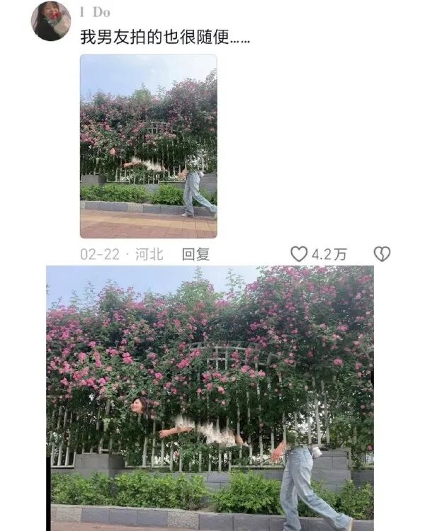 少女和少妇的区别捐精狂人全世界明确可查子女有550个 配图22