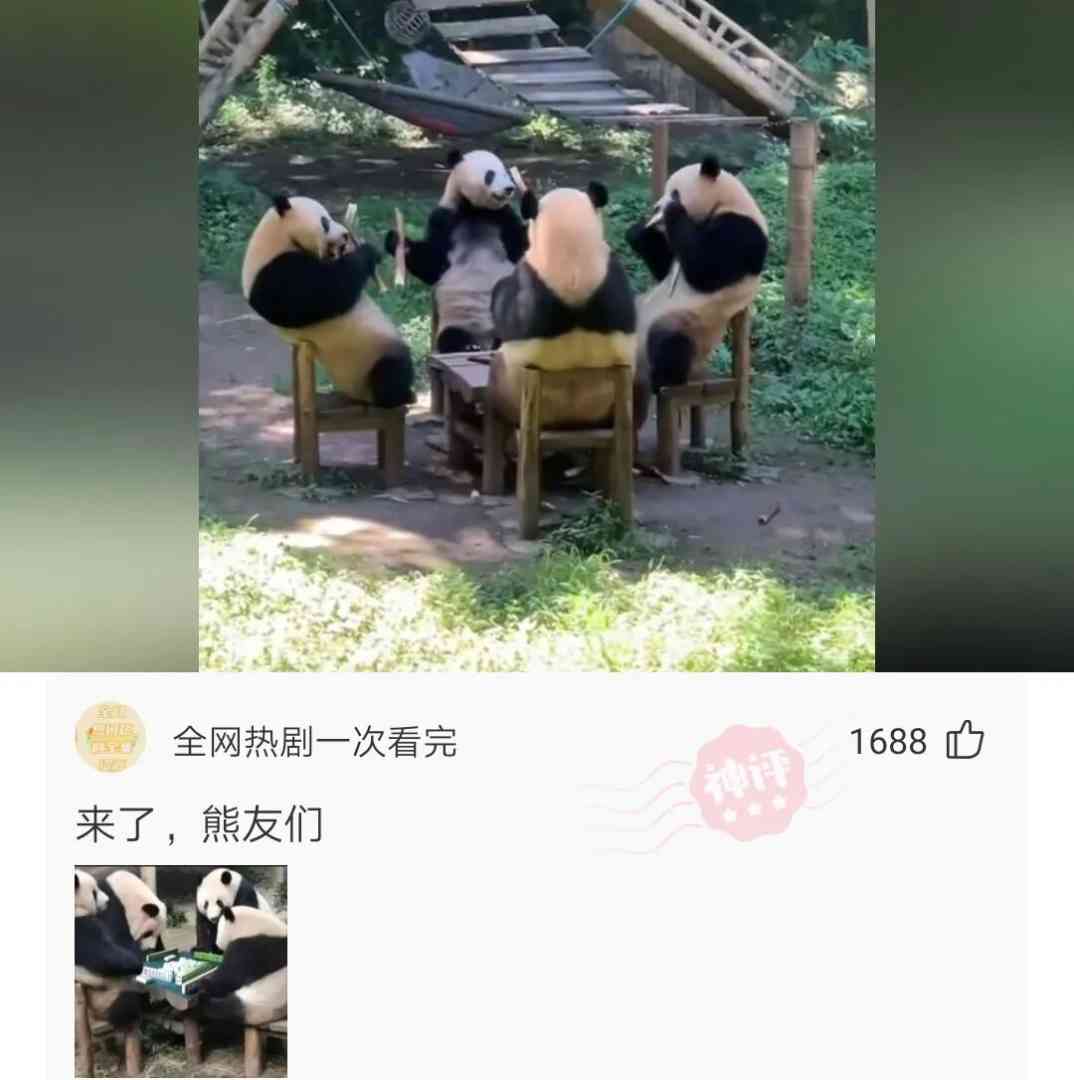 如果美丽有罪你们看我应该判多少年 配图12