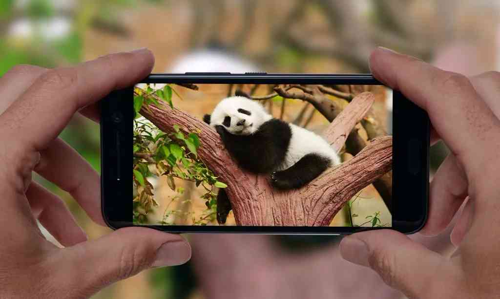 人品越差的人越喜欢用这6种微信头像谨慎交往 配图3
