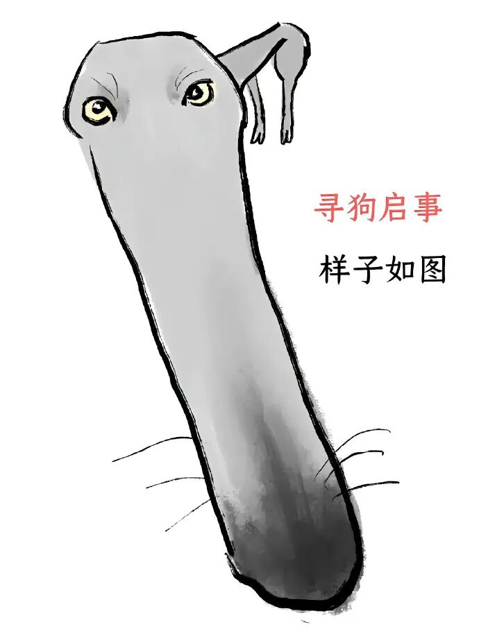 裙子忘了拉拉链同学你先把衣服穿好 配图15