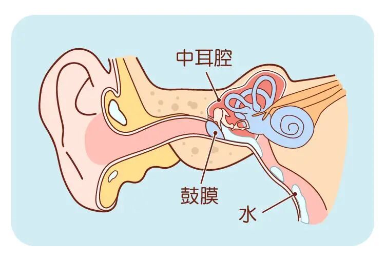 去玩一次水回来就得了妇科病公共泳池到底有多脏 配图14