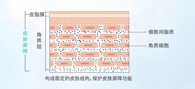 去玩一次水回来就得了妇科病公共泳池到底有多脏 配图12